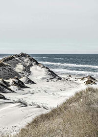 Photographic coastal landscape with sand dunes and sea in soft tones-7