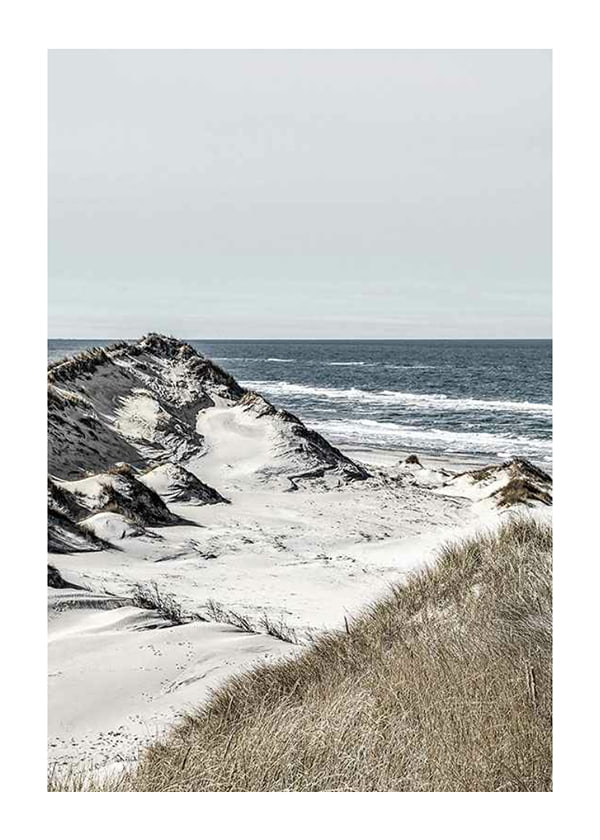 Poster Råbjerg Mile