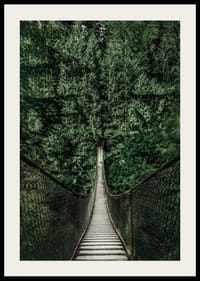 Fotografía de un puente colgante a través de un denso bosque de abetos en tonos verdes intensos.-2