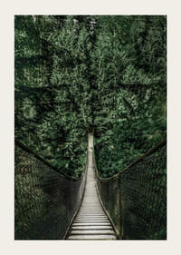 Fotografía de un puente colgante a través de un denso bosque de abetos en tonos verdes intensos.-3