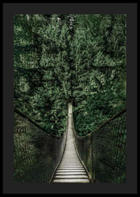 Fotografía de un puente colgante a través de un denso bosque de abetos en tonos verdes intensos.-4