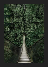 Fotografía de un puente colgante a través de un denso bosque de abetos en tonos verdes intensos.-5