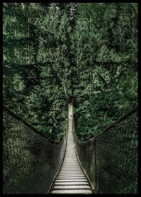 Escape Into The Forest-2