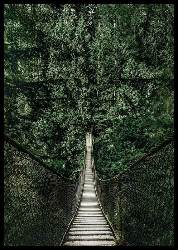 Escape Into The Forest-12