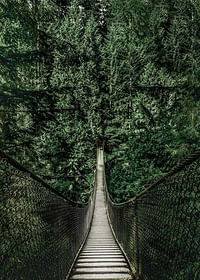 Escape Into The Forest-3