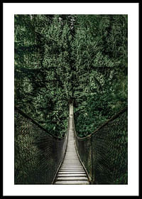 Escape Into The Forest-0