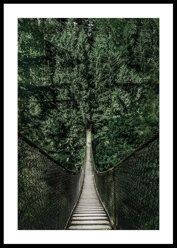 Escape Into The Forest-12