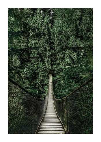 Póster Escape Into The Forest