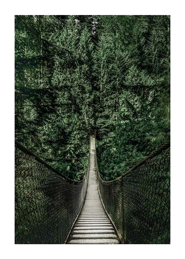 Poster Escape Into The Forest