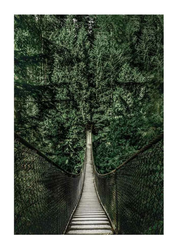 Affiche Escape Into The Forest