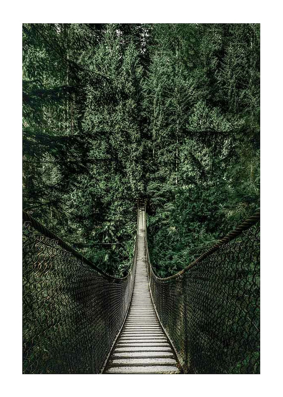 Plagát Escape Into The Forest