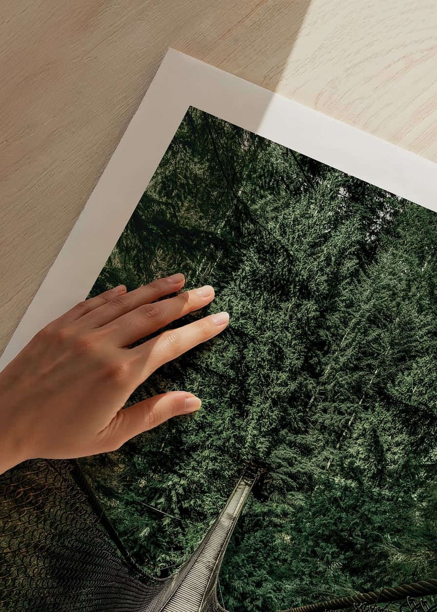 Escape Into The Forest-12