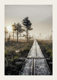 Photograph of wooden bridge through foggy marsh landscape at sunset-3