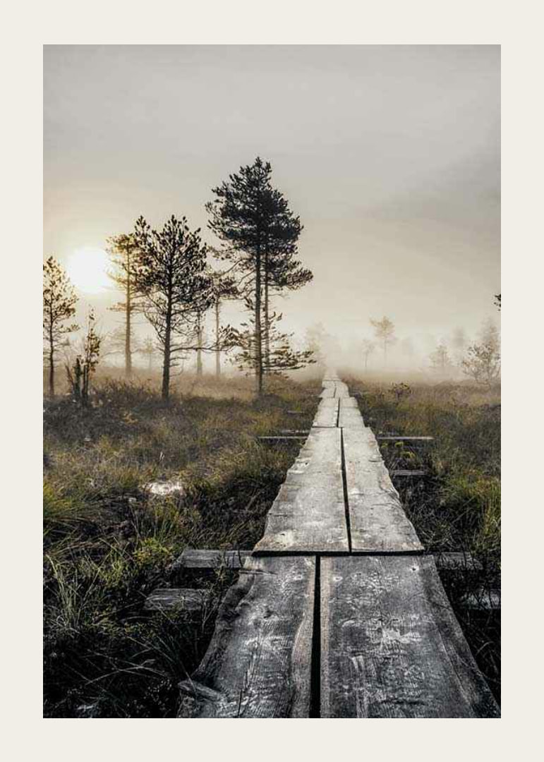 Photograph of wooden bridge through foggy marsh landscape at sunset-12