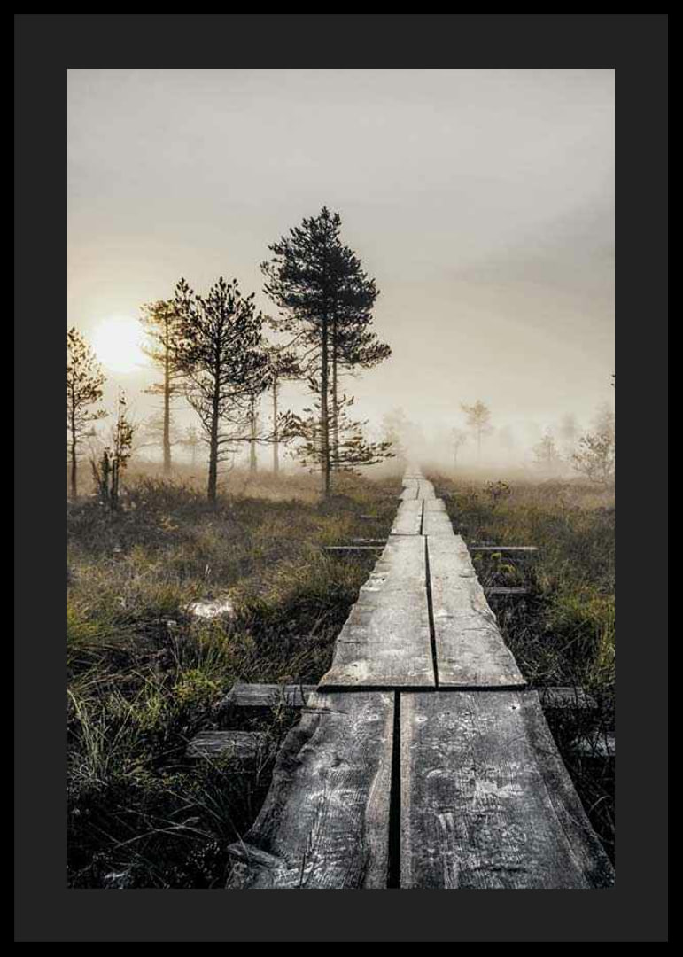 Photograph of wooden bridge through foggy marsh landscape at sunset-12