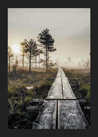 Photograph of wooden bridge through foggy marsh landscape at sunset-5