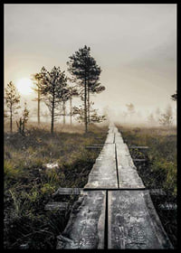 Photograph of wooden bridge through foggy marsh landscape at sunset-6
