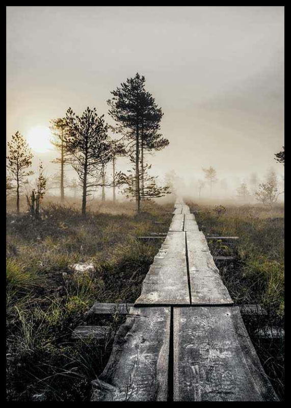 Photograph of wooden bridge through foggy marsh landscape at sunset-12