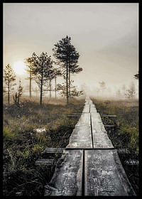 Torronsuo Wilderness-2