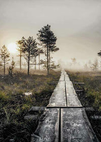 Photograph of wooden bridge through foggy marsh landscape at sunset-7