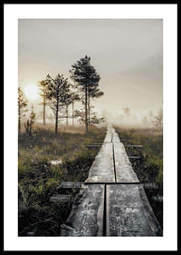 Photograph of wooden bridge through foggy marsh landscape at sunset-0