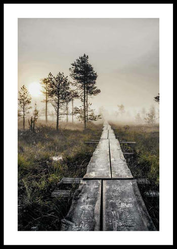 Poster Torronsuo Wilderness