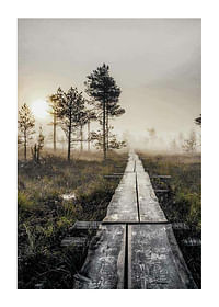 Torronsuo Wilderness-1