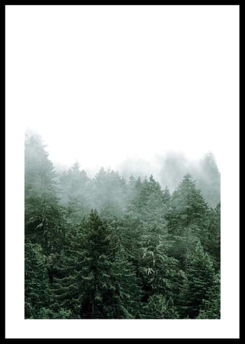 Poster Misty Forest