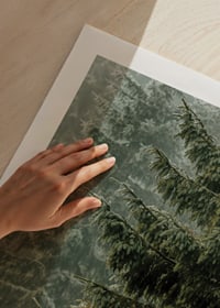 Photographic close-up of dense spruce branches in foggy forest-9