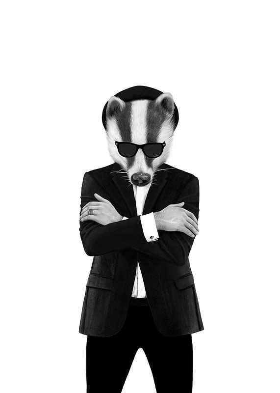 Black and white illustration of badger in suit and sunglasses-12