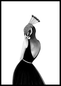 Black and white illustration of woman with peacock head, Wieslander-0