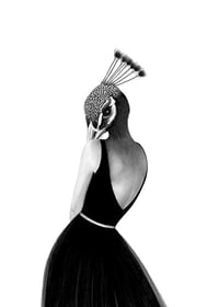 Black and white illustration of woman with peacock head, Wieslander-1