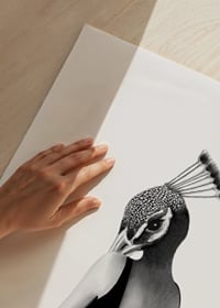 Black and white illustration of woman with peacock head, Wieslander-3