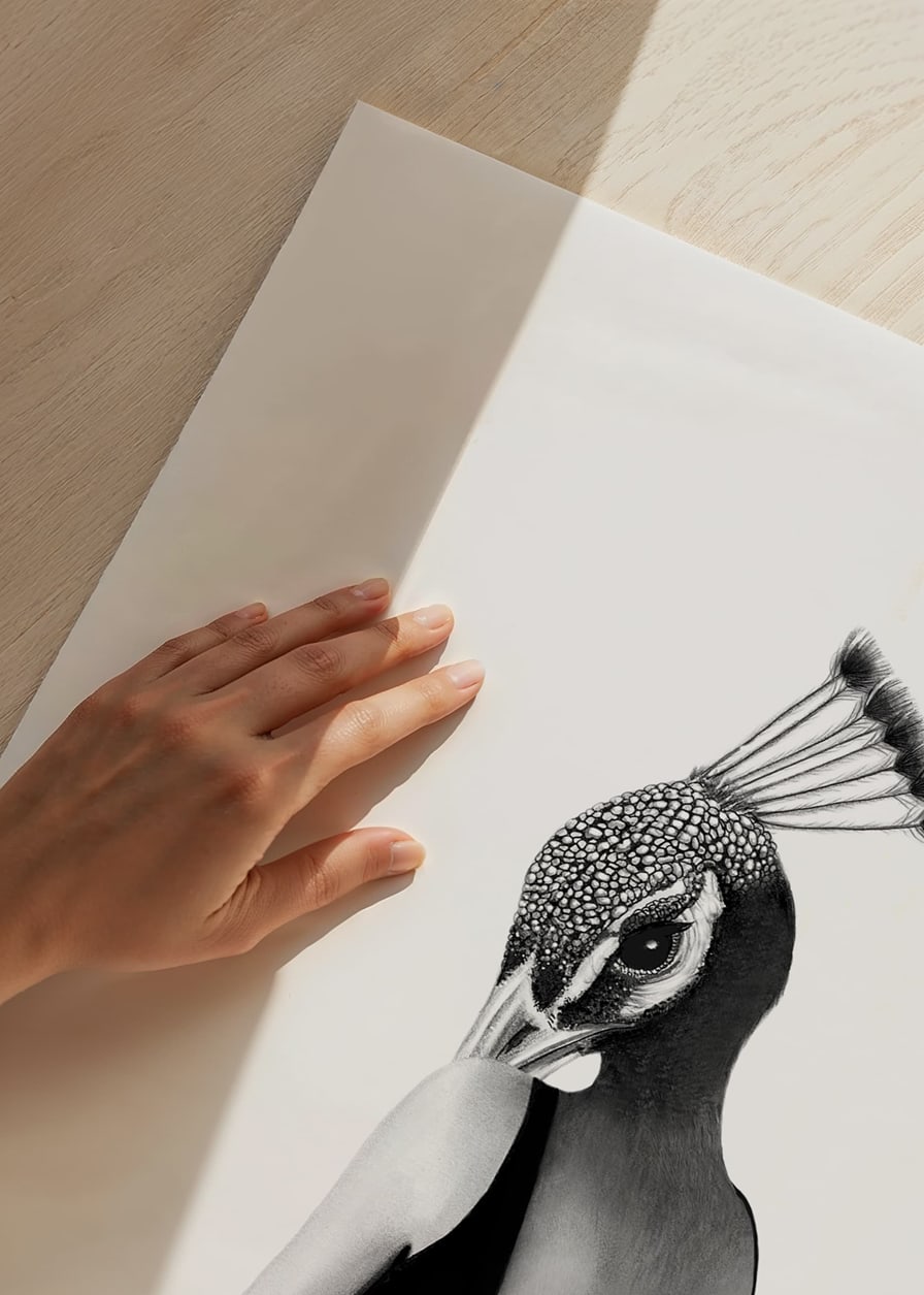 Black and white illustration of woman with peacock head, Wieslander-12