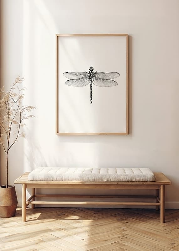 Hand-drawn dragonfly in black and white by Sanna Wieslander-12