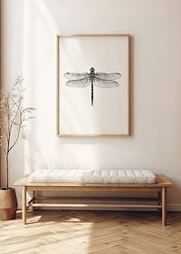 Sanna Wieslander Dragonfly-2