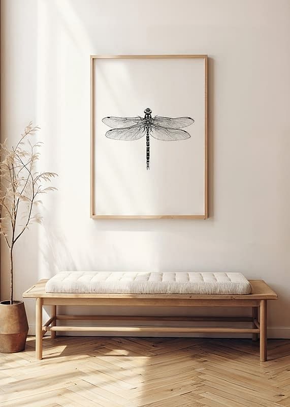 Sanna Wieslander Dragonfly-12