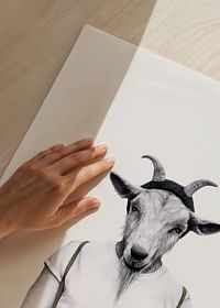 Sanna Wieslander Hipster Goat-3