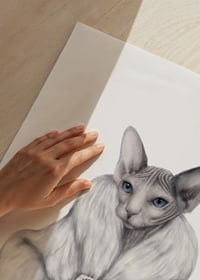 Illustrated sphynx cat in white fur jacket and leopard pants-3
