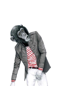 Illustrated chimpanzee with striped sweater and jacket, Sanna Wieslander-1