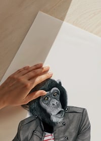 Illustrated chimpanzee with striped sweater and jacket, Sanna Wieslander-3