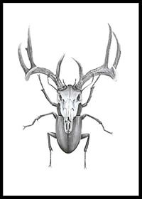 Čiernobiela ilustrácia chrobáka s hlavou jeleňa, Wieslander-0