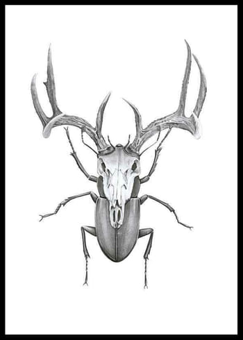 Poster Sanna Wieslander Mr Stag Beetle