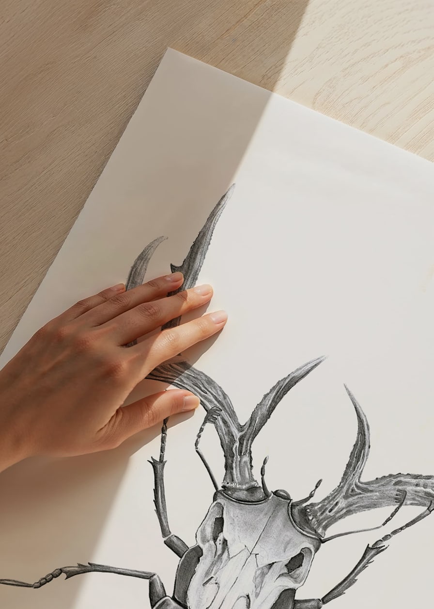 Čiernobiela ilustrácia chrobáka s hlavou jeleňa, Wieslander-12