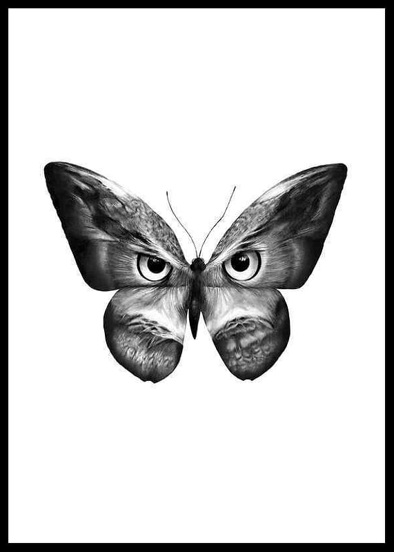 Sanna Wieslander Owlifly-12