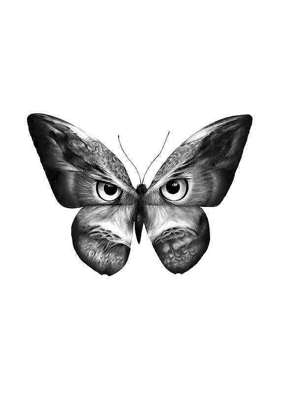 Poster Sanna Wieslander Owlifly