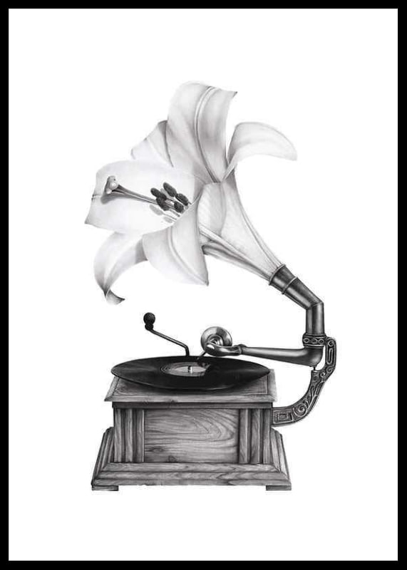 Pencil drawing of gramophone with lily as a funnel by Sanna Wieslander-12