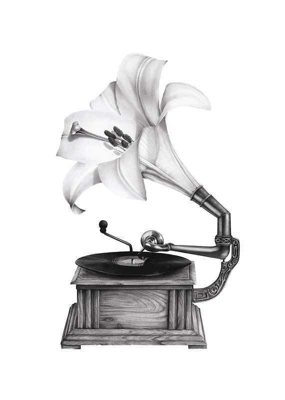Pencil drawing of gramophone with lily as a funnel by Sanna Wieslander-12