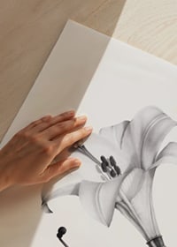 Pencil drawing of gramophone with lily as a funnel by Sanna Wieslander-3
