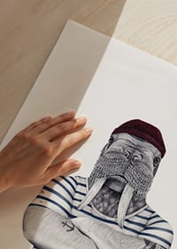 Tricheco illustrato con maglione a righe e cappello rosso, Sanna Wieslander-3